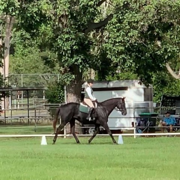 Meet your Posher, Katharine - Picture 1 of 1